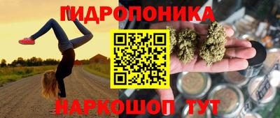 стафф Аргун