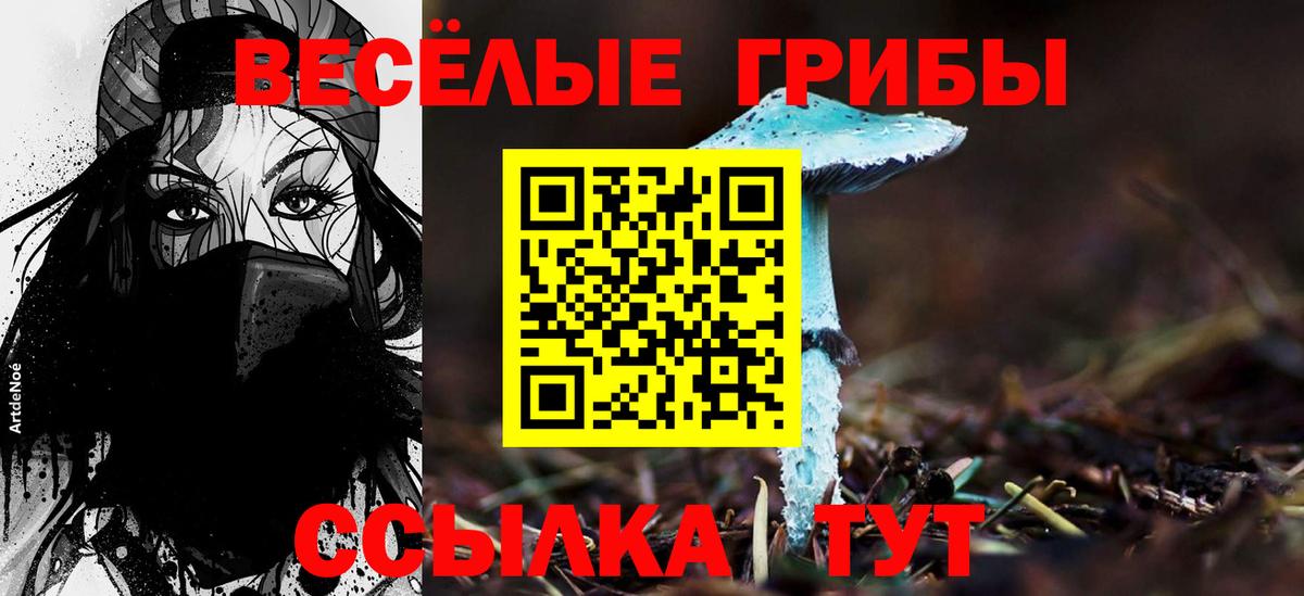 Великие Луки  Псилоцибиновые грибы Cubensis  Галлюциногенные грибы прущие грибы  Вход с VPN 