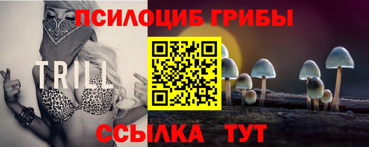 Галлюциногенные грибы GOLDEN TEACHER Великие Луки