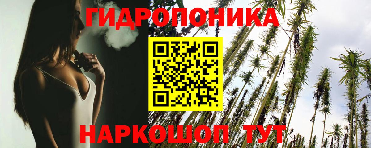 Канабис ГИДРОПОН  Шишки марихуана сатива  Вход с VPN  Великие Луки 
